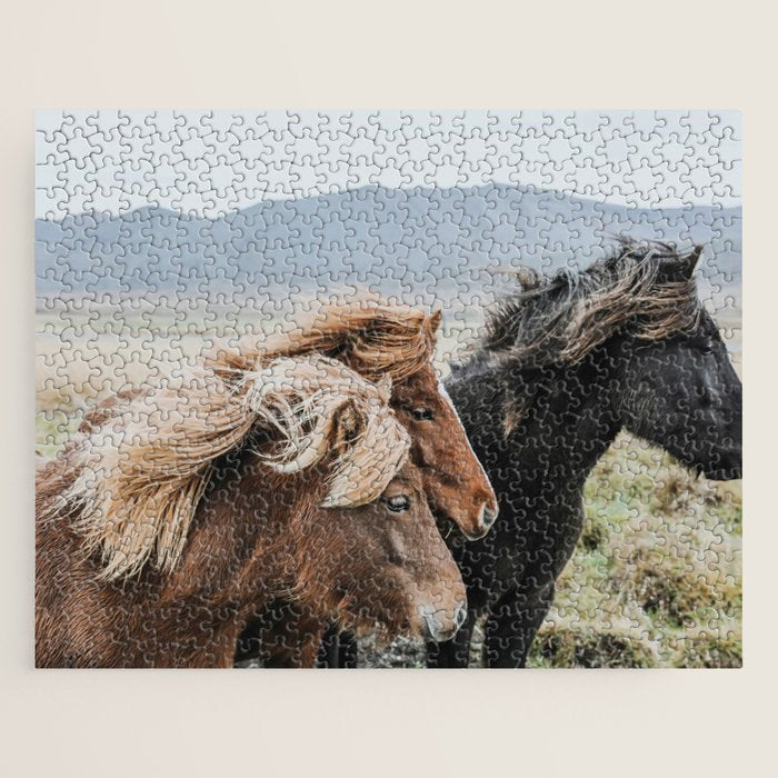 Thingeyrar, Iceland Jigsaw Puzzle Gallery Image 1