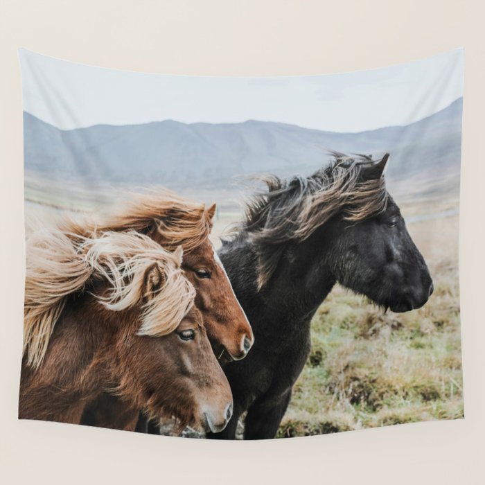 Thingeyrar, Iceland Wall Tapestry Gallery Image 1
