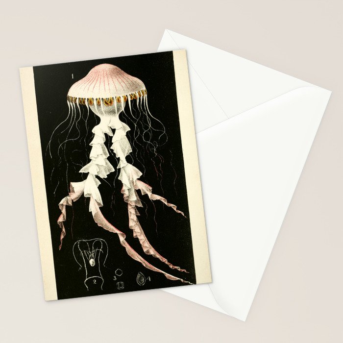 Medusa from "A Naturalist's Rambles on the Devonshire Coast" by Philip Henry Gosse, 1853 (benefitting The Nature Conservancy) Stationery Card Gallery Image 2