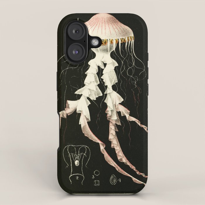 Medusa from "A Naturalist's Rambles on the Devonshire Coast" by Philip Henry Gosse, 1853 (benefitting The Nature Conservancy) iPhone Case Gallery Image 1