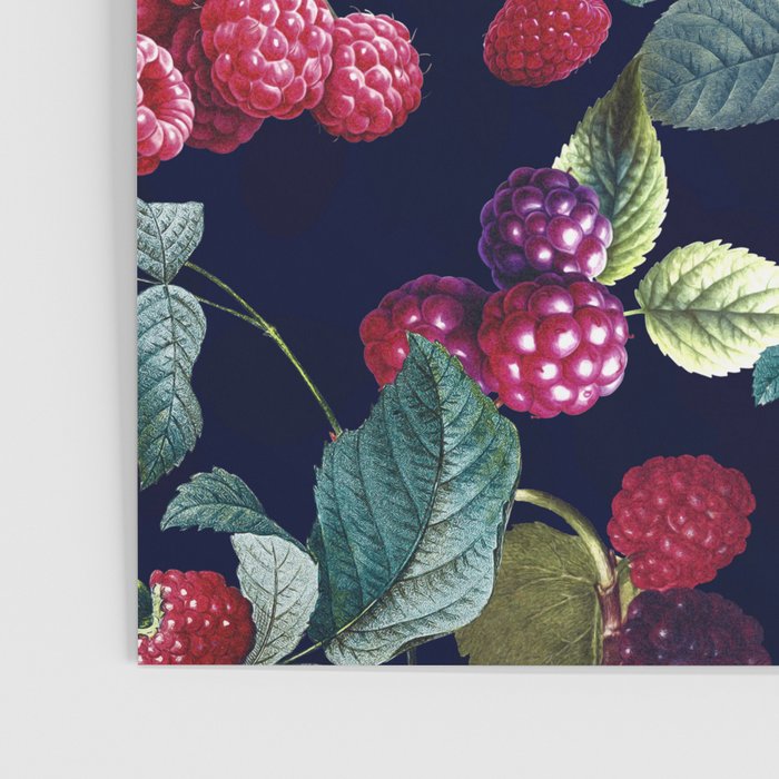 Wild Blackberry - Night  Poster Gallery Image 3