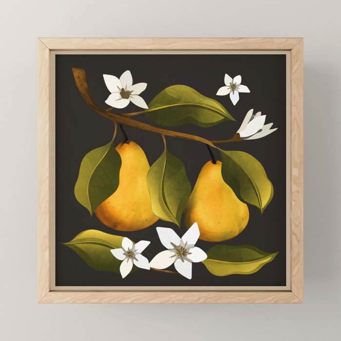 Pears Botanical Art 1 Mini Art Print Gallery Image 1