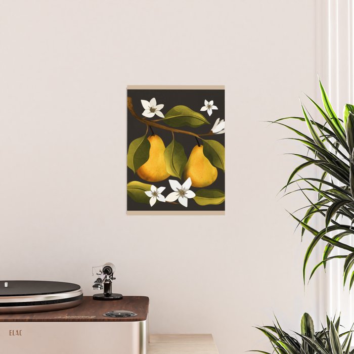 Pears Botanical Art 1 Poster Gallery Image 2