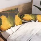Pears Botanical Art 1 Pillow Sham Gallery Image 2