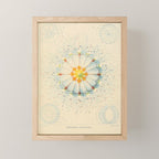 Jellyfish by Ernst Haeckel from his monograph of deep-sea medusae (1879) Mini Art Print Gallery Image 1