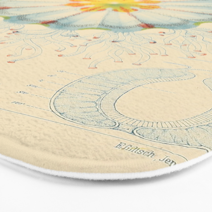 Jellyfish by Ernst Haeckel from his monograph of deep-sea medusae (1879) Bath Mat Gallery Image 3