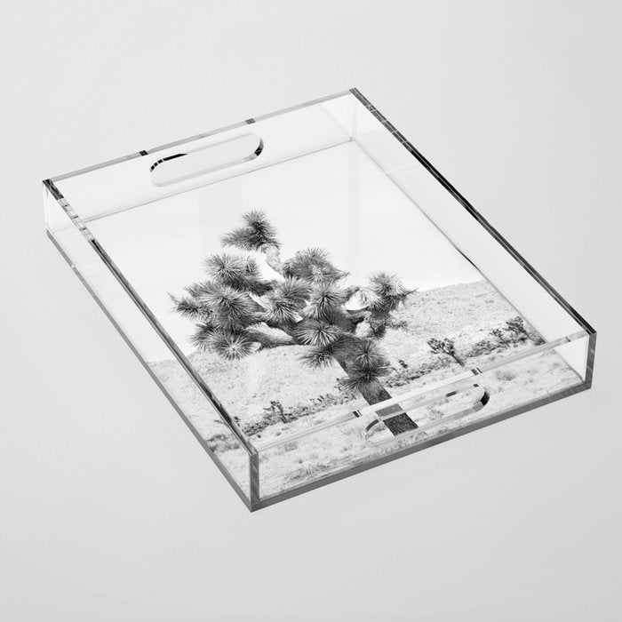 Twisted Joshua Tree - Black and White Photography Acrylic Tray Gallery Image 1