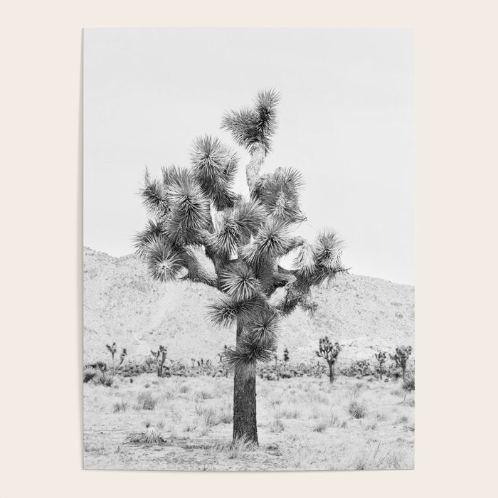 Twisted Joshua Tree - Black and White Photography Poster Gallery Image 4