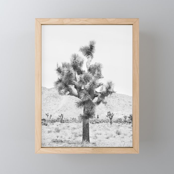 Twisted Joshua Tree - Black and White Photography Mini Art Print Gallery Image 1