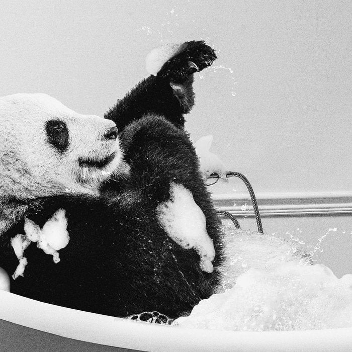 Panda Taking a Bath Coffee Mug Gallery Image 2