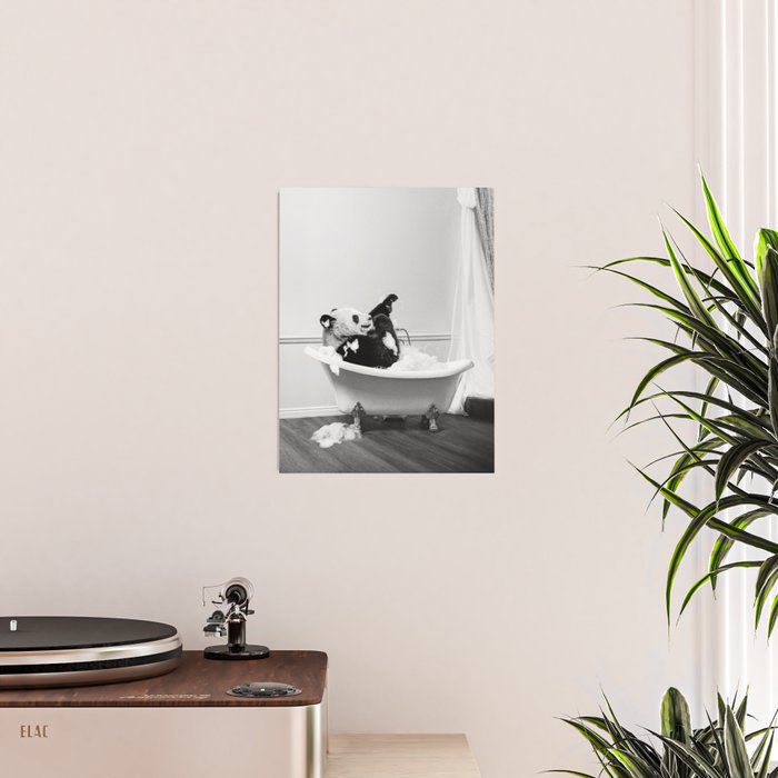 Panda Taking a Bath Poster Gallery Image 2