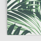 Tropical Leaves 4 Poster Gallery Image 3