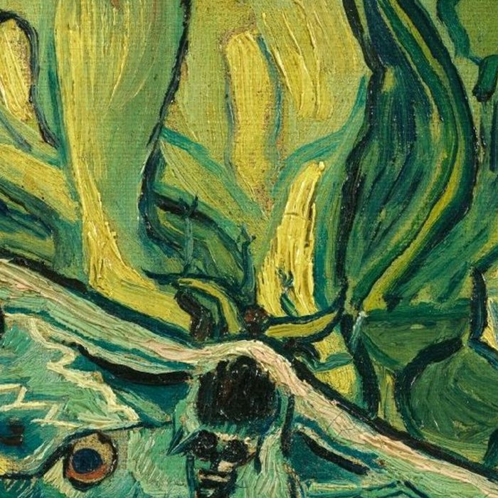 Vincent Van Gogh Giant Emperor Peacock Moth Coffee Mug Gallery Image 2
