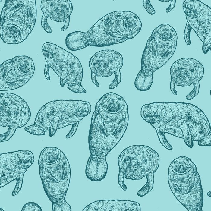 Manatees - Teal Coffee Mug Gallery Image 2
