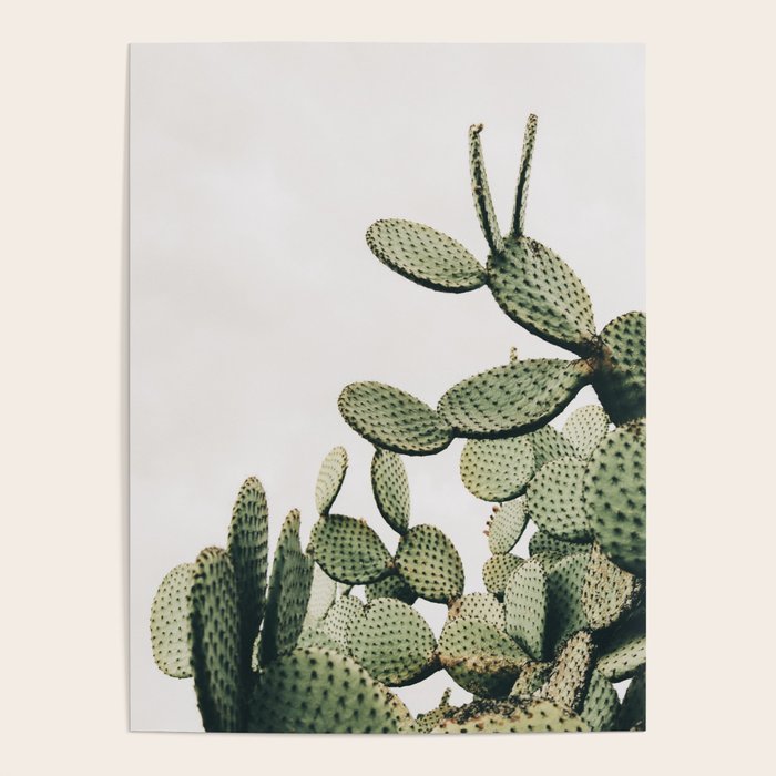 Cactus on blue sky #society6 #decor #buyart Poster Gallery Image 4