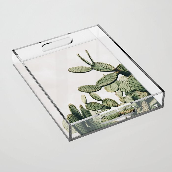 Cactus on blue sky #society6 #decor #buyart Acrylic Tray Gallery Image 1