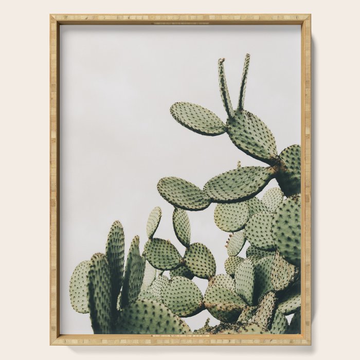 Cactus on blue sky #society6 #decor #buyart Serving Tray Gallery Image 1