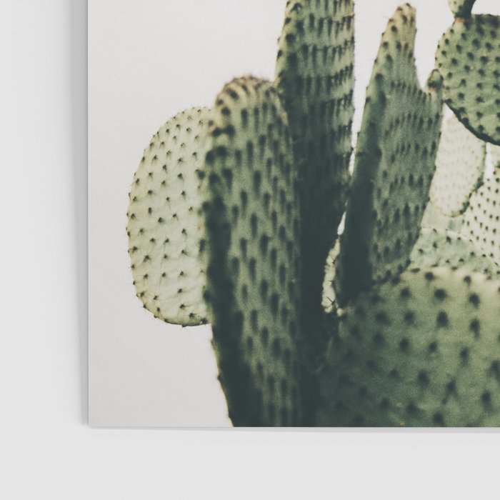 Cactus on blue sky #society6 #decor #buyart Poster Gallery Image 3