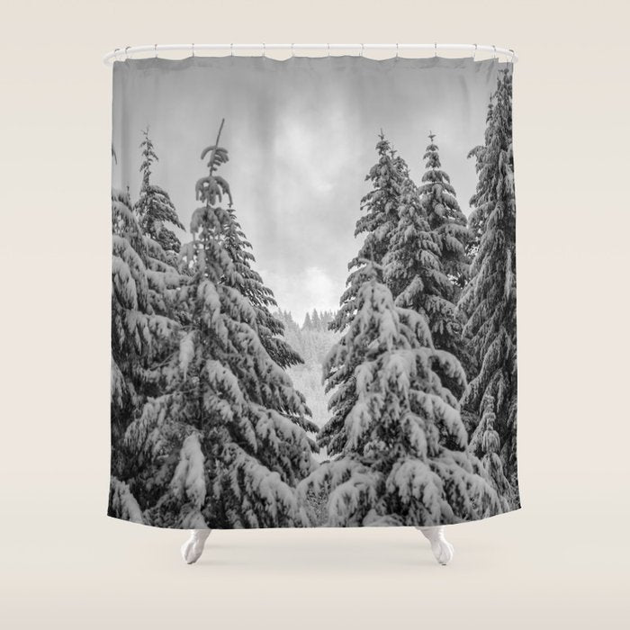 Forest Winter Window - 45/365 Nature Photography Shower Curtain Gallery Image 1