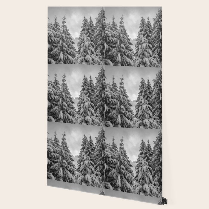 Forest Winter Window - 45/365 Nature Photography Wallpaper Gallery Image 2