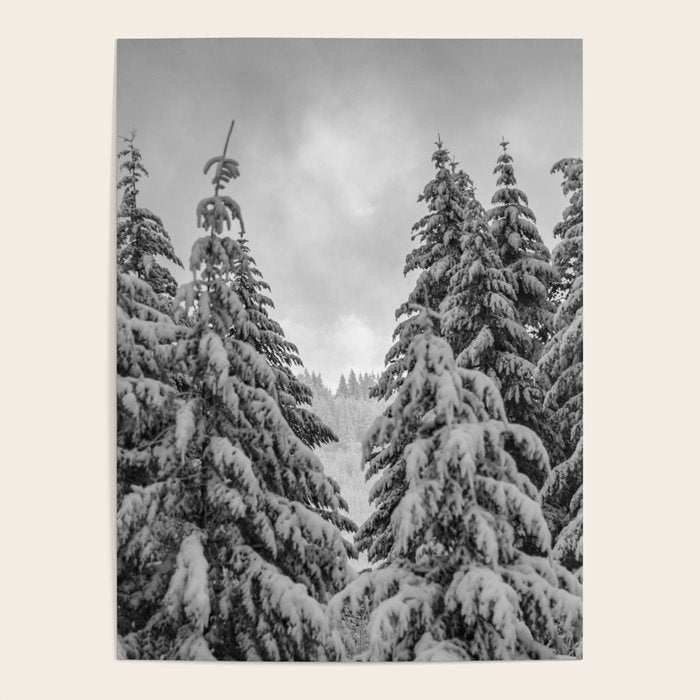 Forest Winter Window - 45/365 Nature Photography Poster Gallery Image 4