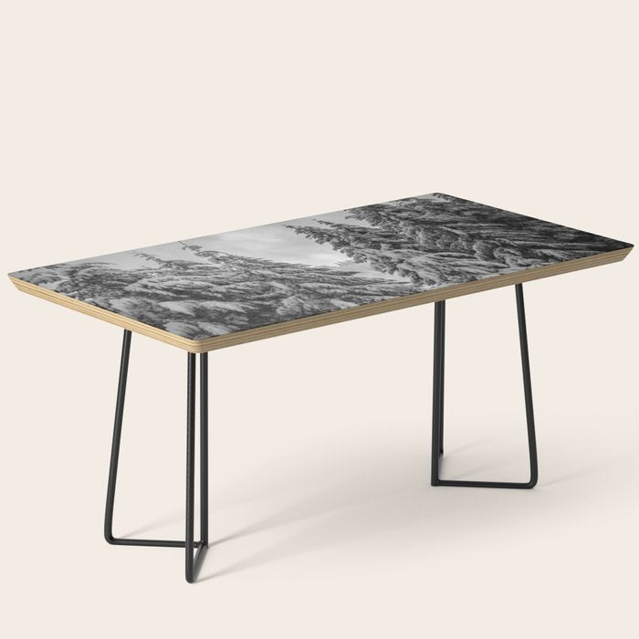 Forest Winter Window - 45/365 Nature Photography Coffee Table Gallery Image 1