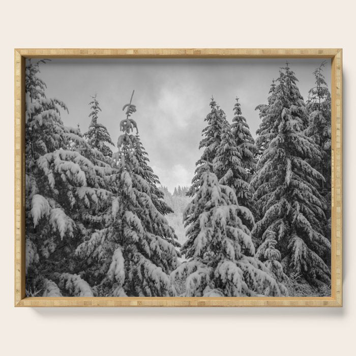 Forest Winter Window - 45/365 Nature Photography Serving Tray Gallery Image 1