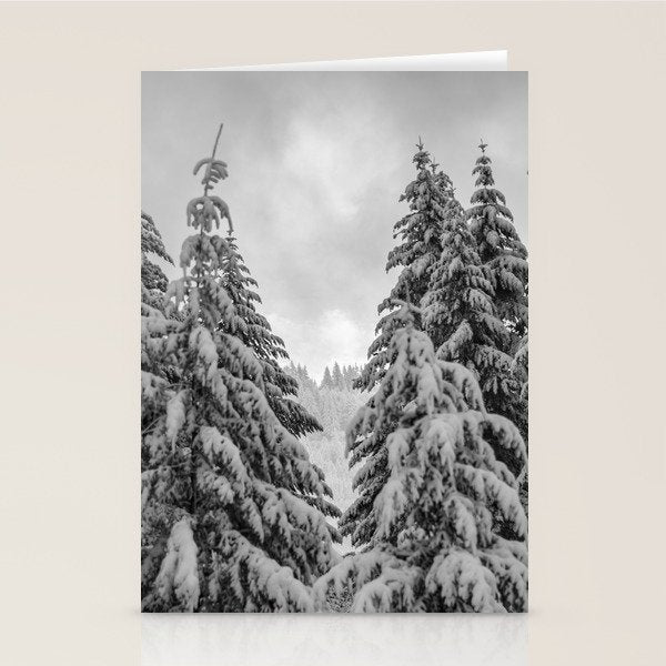 Forest Winter Window - 45/365 Nature Photography Stationery Card Gallery Image 2