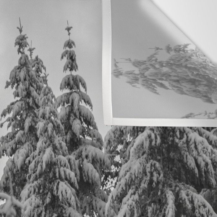 Forest Winter Window - 45/365 Nature Photography Wall Tapestry Gallery Image 3