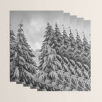 Forest Winter Window - 45/365 Nature Photography Wrapping Paper Gallery Image 3