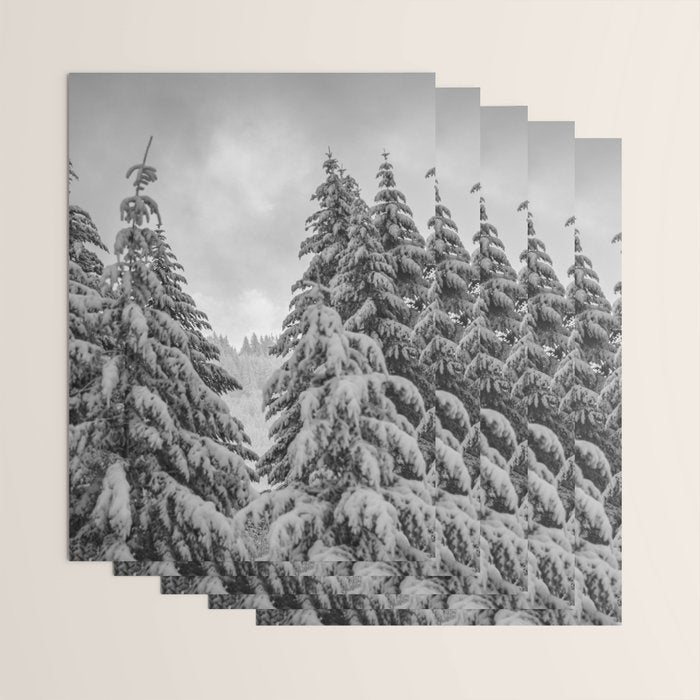 Forest Winter Window - 45/365 Nature Photography Wrapping Paper Gallery Image 3