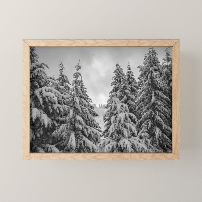 Forest Winter Window - 45/365 Nature Photography Mini Art Print Gallery Image 1