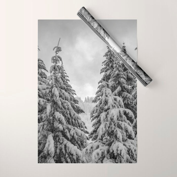 Forest Winter Window - 45/365 Nature Photography Wrapping Paper Gallery Image 1