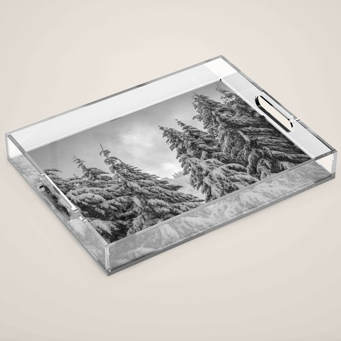 Forest Winter Window - 45/365 Nature Photography Acrylic Tray Gallery Image 1