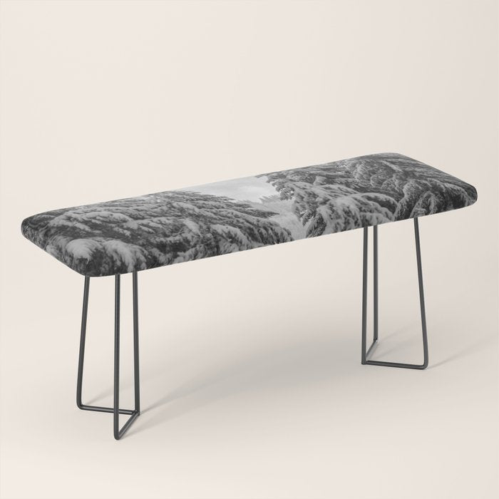 Forest Winter Window - 45/365 Nature Photography Bench Gallery Image 1