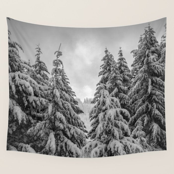 Forest Winter Window - 45/365 Nature Photography Wall Tapestry Gallery Image 4