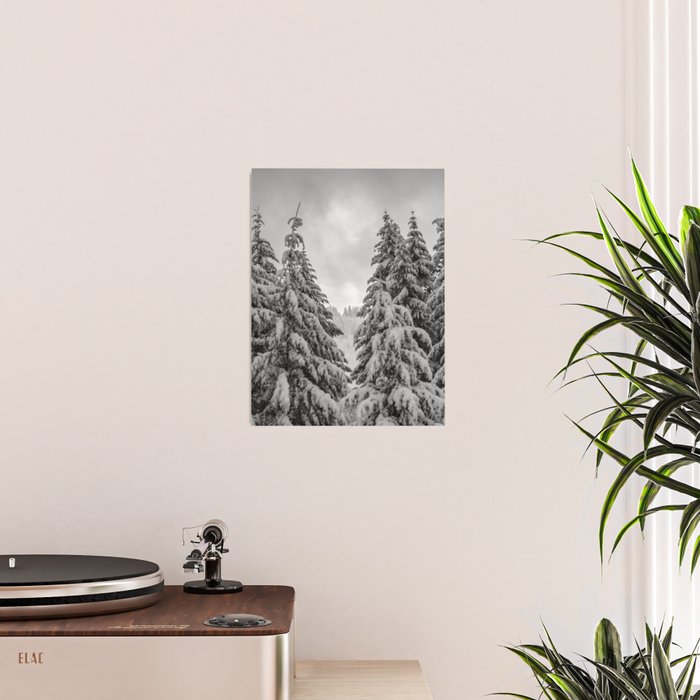 Forest Winter Window - 45/365 Nature Photography Poster Gallery Image 2