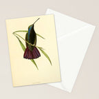 Mango Hummingbird by William Swainson, 1841 (benefitting the Nature Conservancy) Stationery Card Gallery Image 2