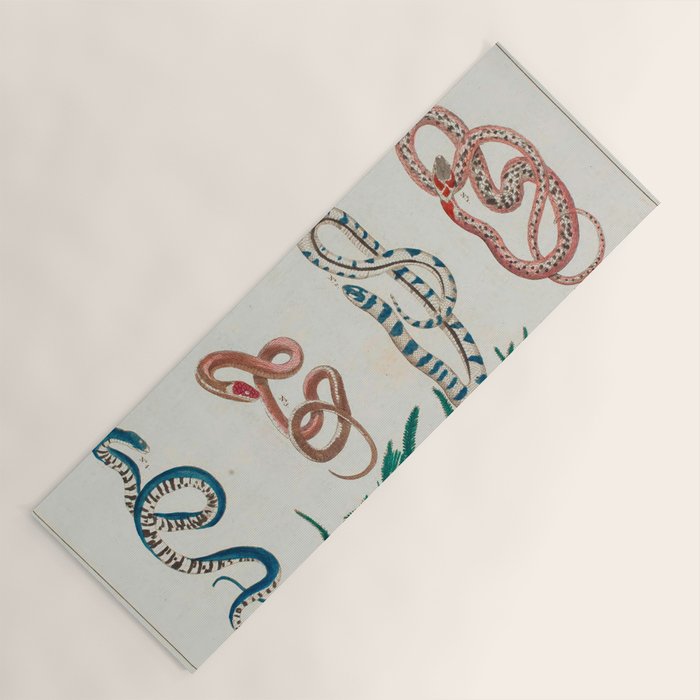 Seba Albertus Snakes With Plants  Yoga Mat Gallery Image 1