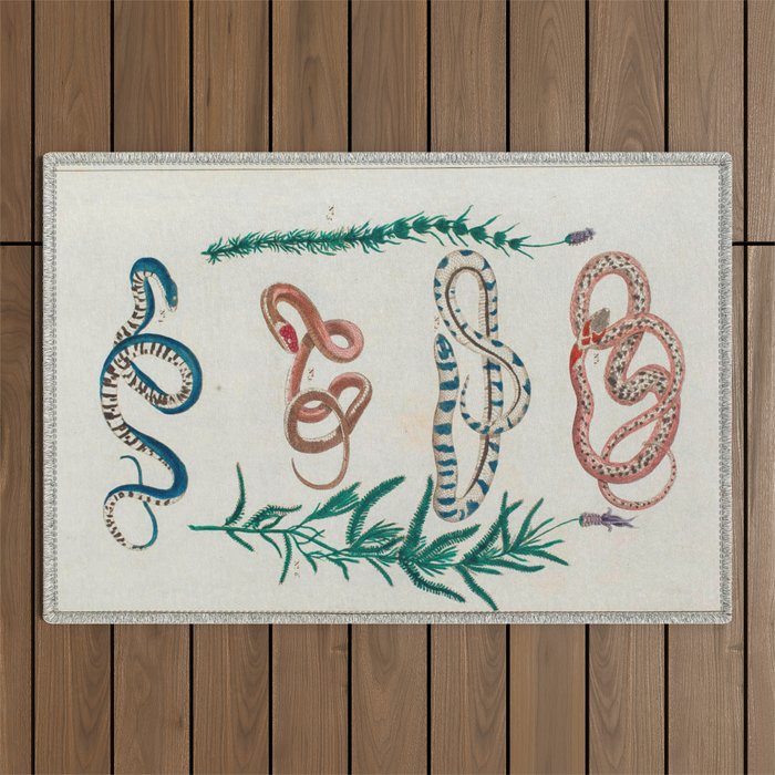 Seba Albertus Snakes With Plants  Outdoor Rug Gallery Image 1