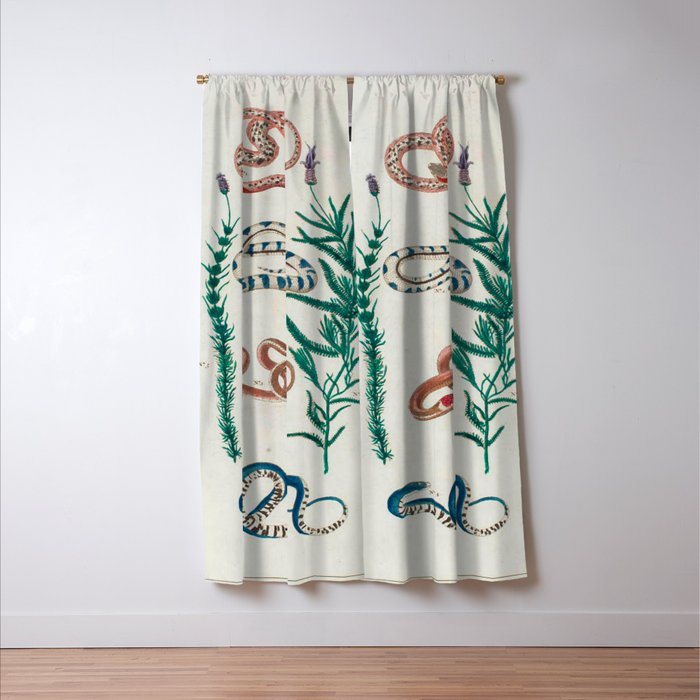Seba Albertus Snakes With Plants  Window Curtain Gallery Image 3