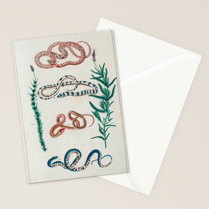 Seba Albertus Snakes With Plants  Stationery Card Gallery Image 2