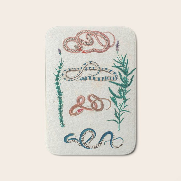 Seba Albertus Snakes With Plants  Bath Mat Gallery Image 1
