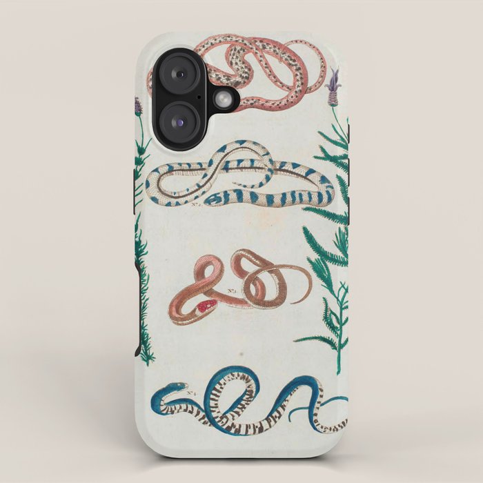 Seba Albertus Snakes With Plants  iPhone Case Gallery Image 1