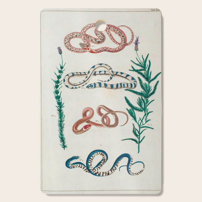 Seba Albertus Snakes With Plants  Cutting Board Gallery Image 1