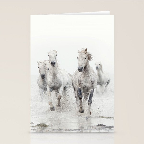 Camargue White Horses Running in Water - Nature Photography Stationery Card Gallery Image 2