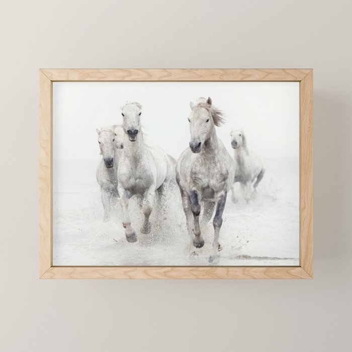 Camargue White Horses Running in Water - Nature Photography Mini Art Print Gallery Image 1