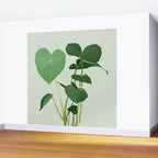 Plant 3 Wall Mural Gallery Image 2
