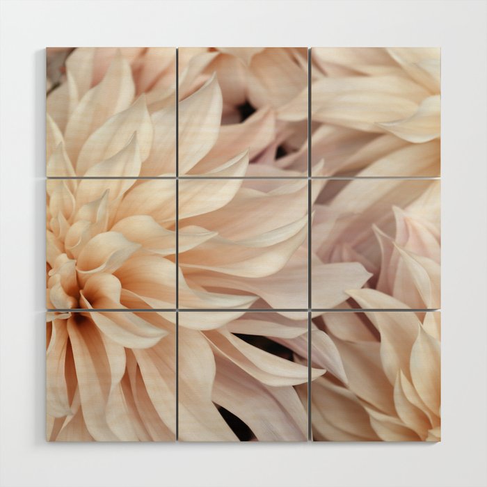 Cafe Au Lait #3 - Modern Floral Photograph Wood Wall Art Gallery Image 1