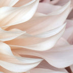 Cafe Au Lait #3 - Modern Floral Photograph Coffee Mug Gallery Image 2